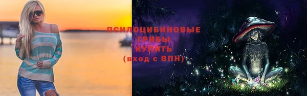 стафф Абаза