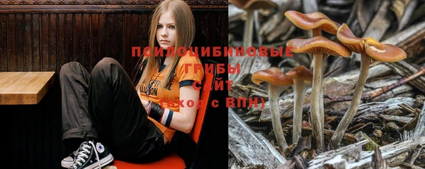 гашишное масло Абинск