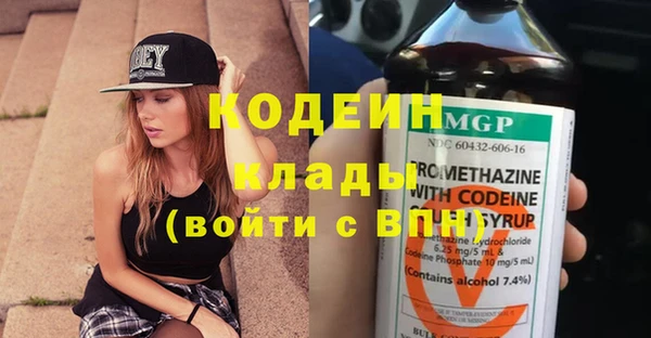 ECSTASY Алзамай