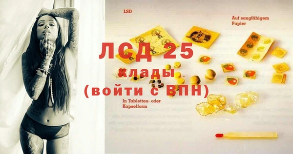 стаф Алексин