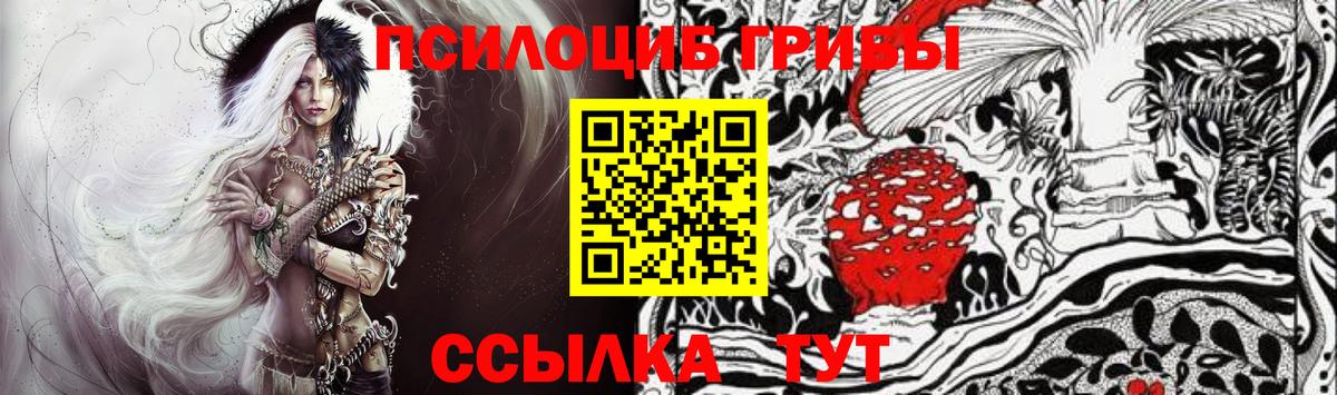 Благовещенск  Псилоцибиновые грибы Psilocybe  где можно купить   Вход с VPN 
